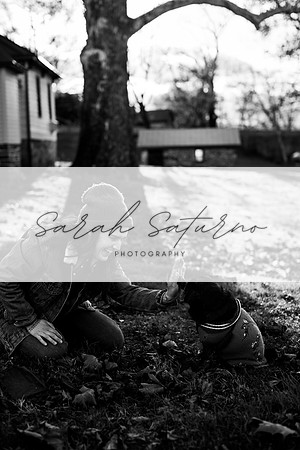 SSP_1294